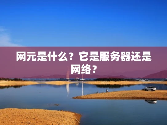 网元是什么？它是服务器还是网络？