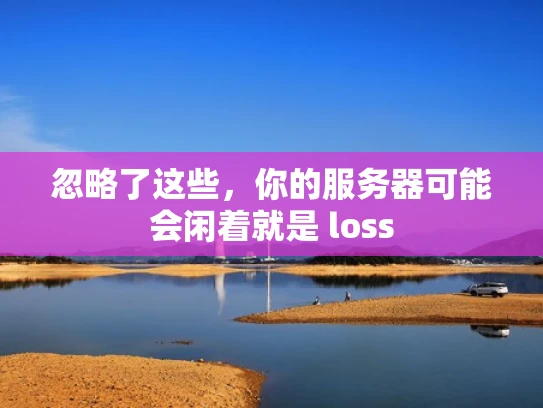 忽略了这些，你的服务器可能会闲着就是 loss