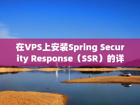 在VPS上安装Spring Security Response（SSR）的详细指南