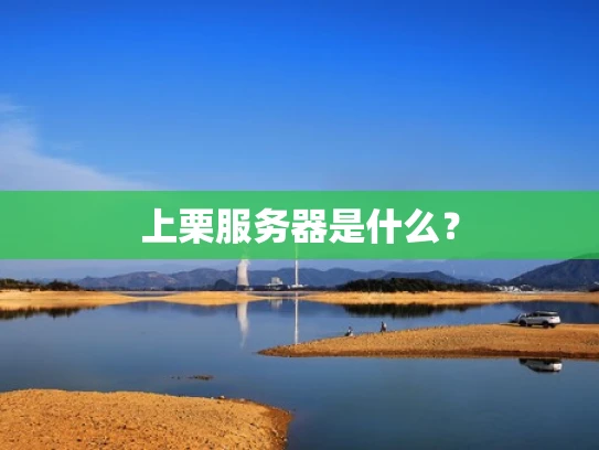 上栗服务器是什么？