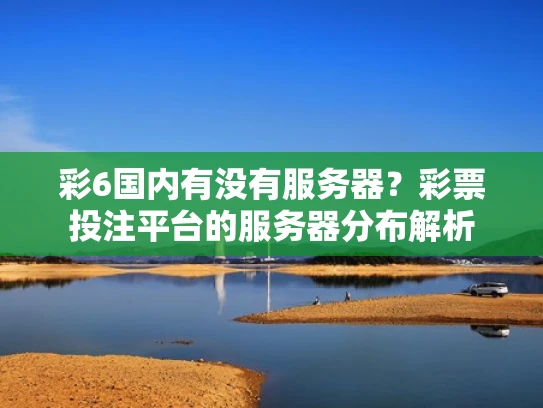 彩6国内有没有服务器？彩票投注平台的服务器分布解析