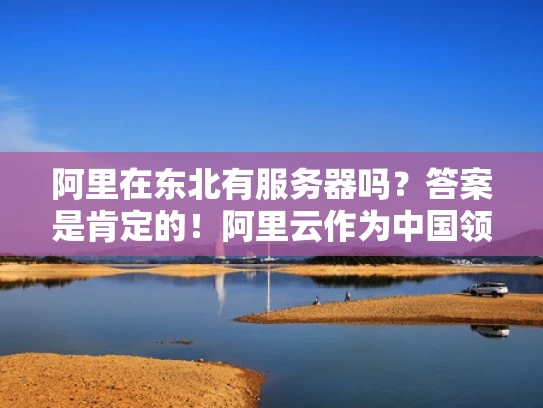 阿里在东北有服务器吗？答案是肯定的！阿里云作为中国领先的云服务提供商，在全国范围内都有 extensive 的服务器网络，包括东北地区