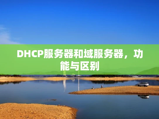 DHCP服务器和域服务器，功能与区别