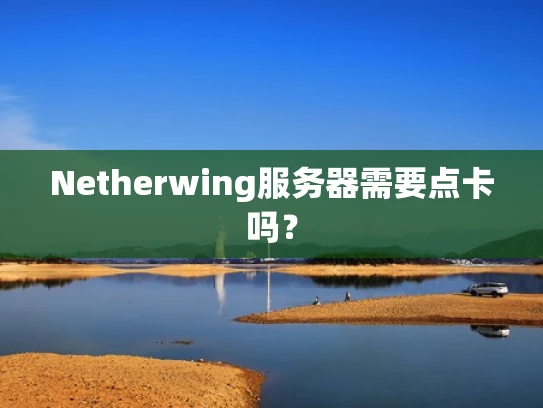 Netherwing服务器需要点卡吗？