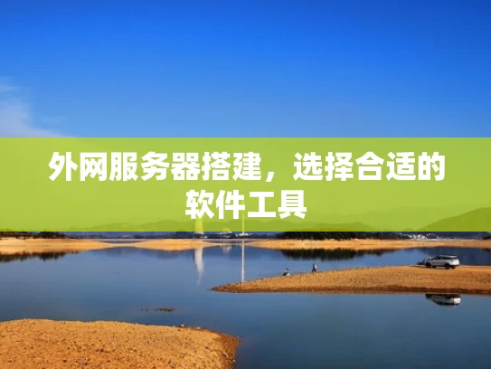 外网服务器搭建，选择合适的软件工具