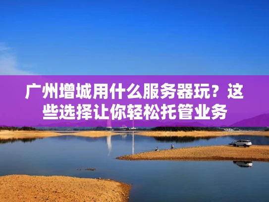 广州增城用什么服务器玩？这些选择让你轻松托管业务