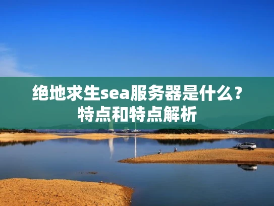 绝地求生sea服务器是什么？特点和特点解析