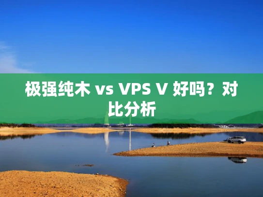 极强纯木 vs VPS V 好吗？对比分析
