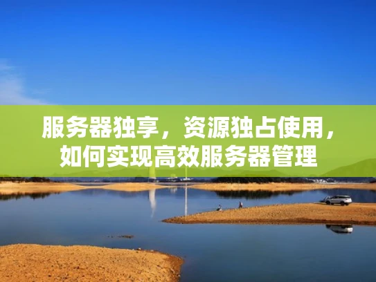 服务器独享，资源独占使用，如何实现高效服务器管理