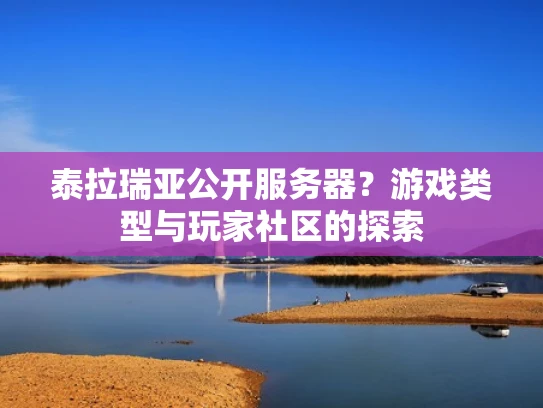 泰拉瑞亚公开服务器？游戏类型与玩家社区的探索