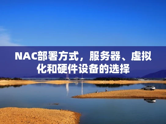 NAC部署方式，服务器、虚拟化和硬件设备的选择