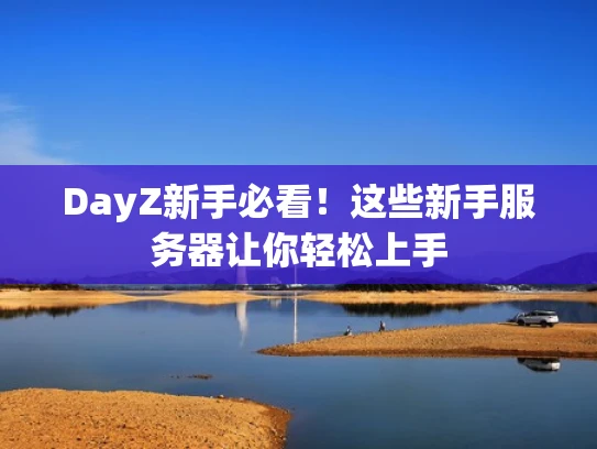 DayZ新手必看！这些新手服务器让你轻松上手