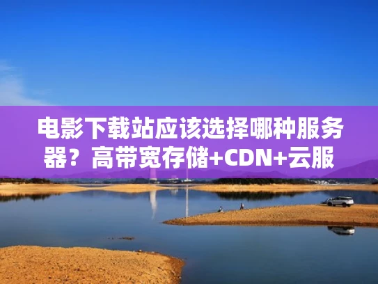 电影下载站应该选择哪种服务器？高带宽存储+CDN+云服务，才是王道
