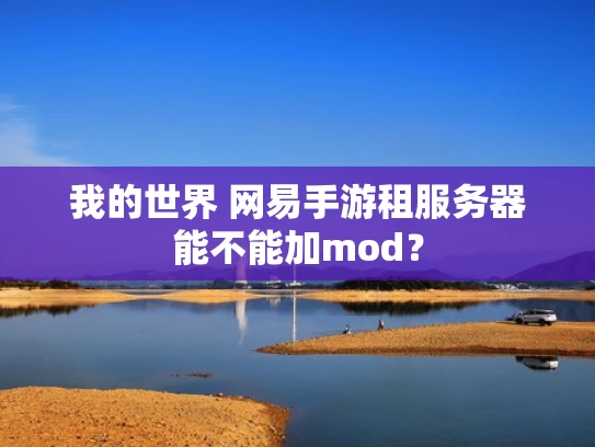 我的世界 网易手游租服务器能不能加mod？
