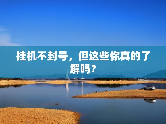 挂机不封号，但这些你真的了解吗？