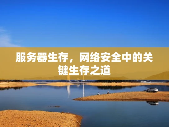 服务器生存，网络安全中的关键生存之道