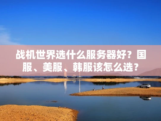 战机世界选什么服务器好？国服、美服、韩服该怎么选？