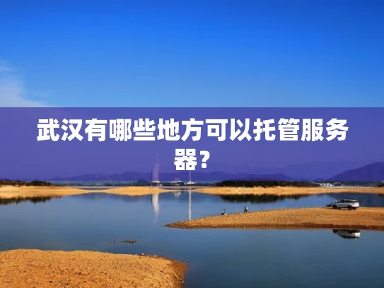 武汉有哪些地方可以托管服务器？