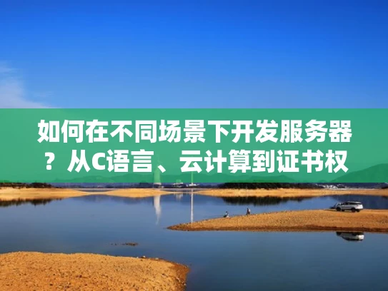 如何在不同场景下开发服务器？从C语言、云计算到证书权威颁发机构的全面解析