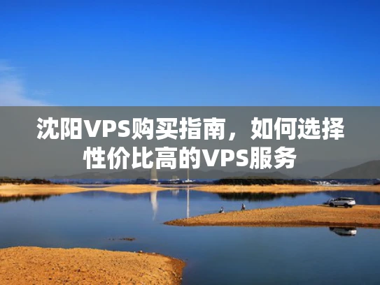 沈阳VPS购买指南，如何选择性价比高的VPS服务