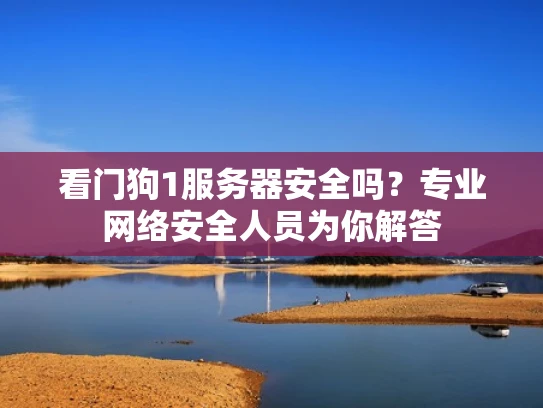 看门狗1服务器安全吗？专业网络安全人员为你解答