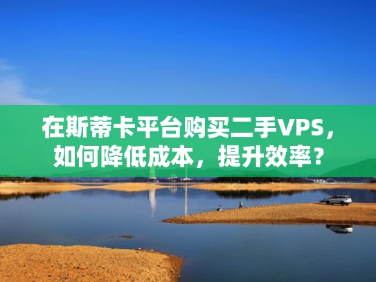 在斯蒂卡平台购买二手VPS，如何降低成本，提升效率？