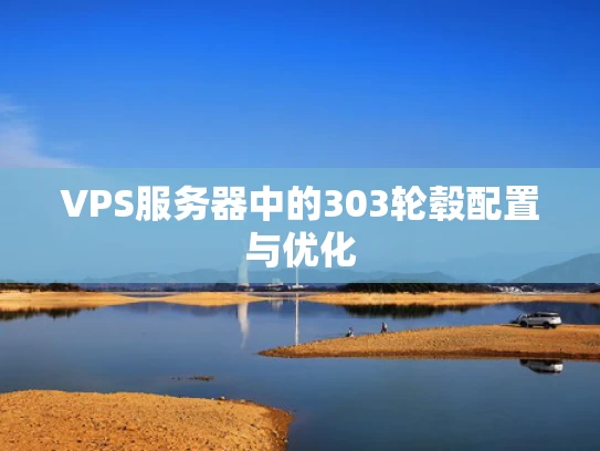 VPS服务器中的303轮毂配置与优化