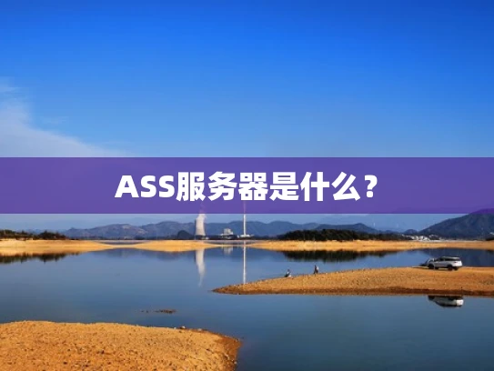 ASS服务器是什么？