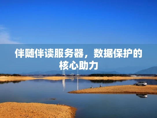伴随伴读服务器，数据保护的核心助力
