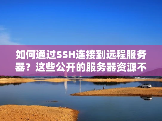 如何通过SSH连接到远程服务器？这些公开的服务器资源不容错过