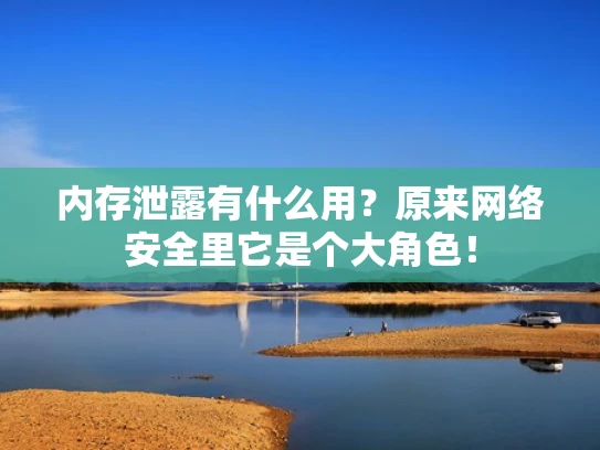 内存泄露有什么用？原来网络安全里它是个大角色！
