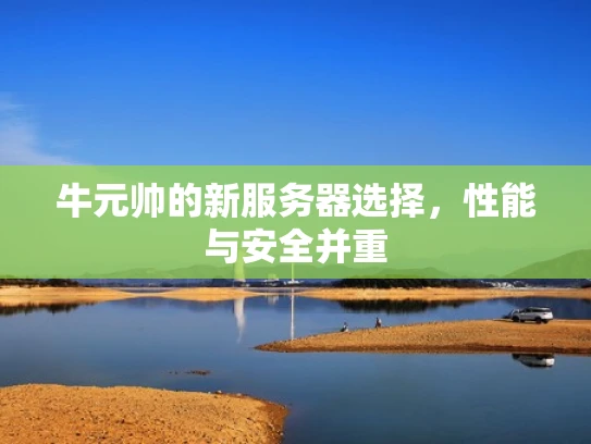 牛元帅的新服务器选择，性能与安全并重