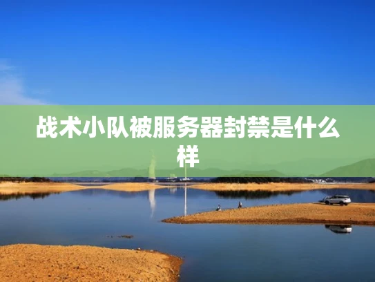 战术小队被服务器封禁是什么样