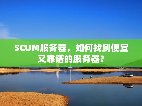 SCUM服务器，如何找到便宜又靠谱的服务器？