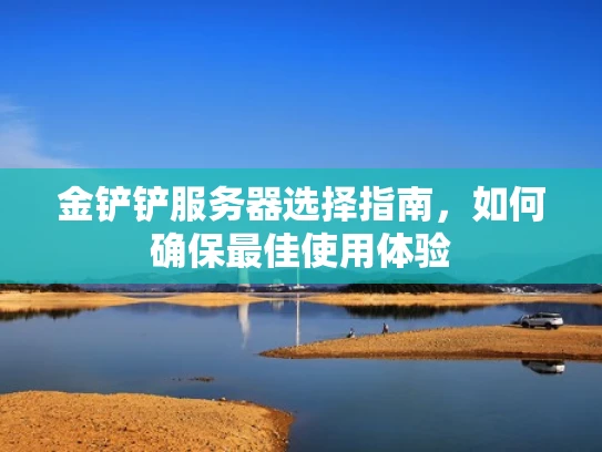 金铲铲服务器选择指南，如何确保最佳使用体验