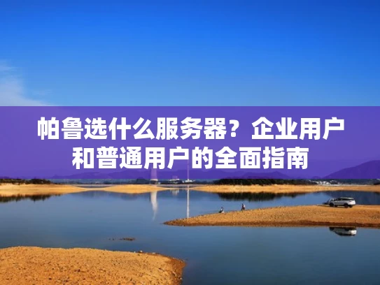 帕鲁选什么服务器？企业用户和普通用户的全面指南