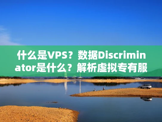 什么是VPS？数据Discriminator是什么？解析虚拟专有服务器与数据分类接口的含义
