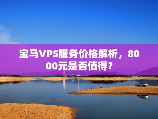 宝马VPS服务价格解析，8000元是否值得？