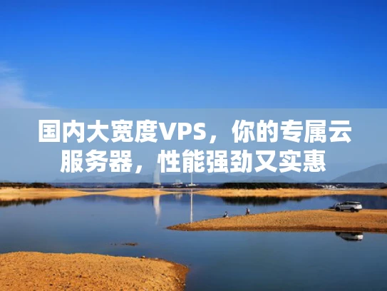国内大宽度VPS，你的专属云服务器，性能强劲又实惠