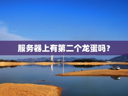 服务器上有第二个龙蛋吗？