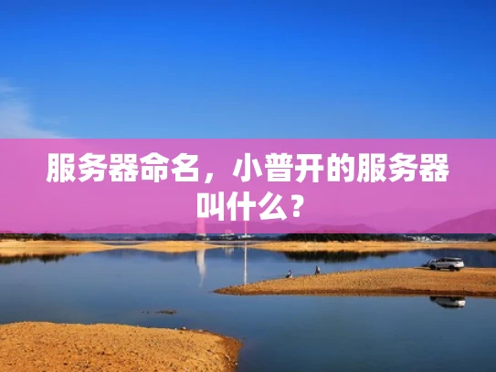 服务器命名，小普开的服务器叫什么？