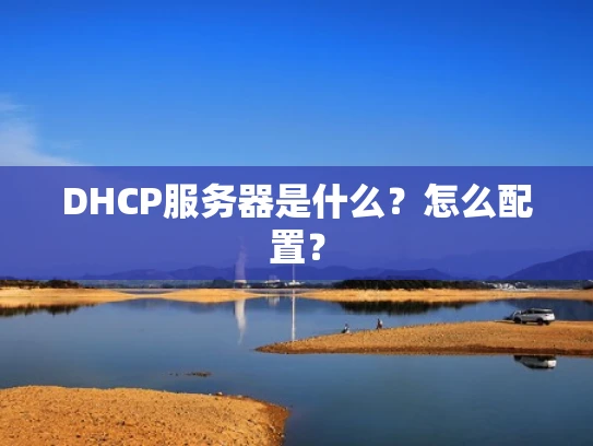DHCP服务器是什么？怎么配置？