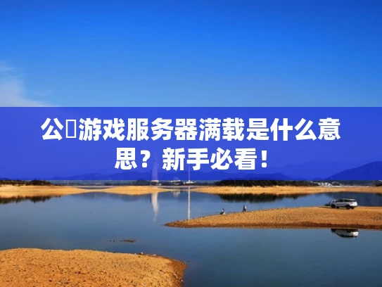 公룡游戏服务器满载是什么意思？新手必看！