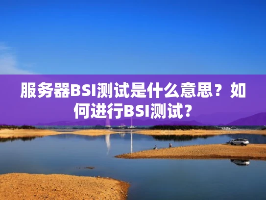 服务器BSI测试是什么意思？如何进行BSI测试？