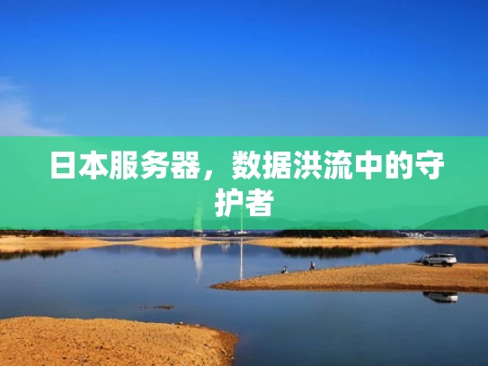 日本服务器，数据洪流中的守护者