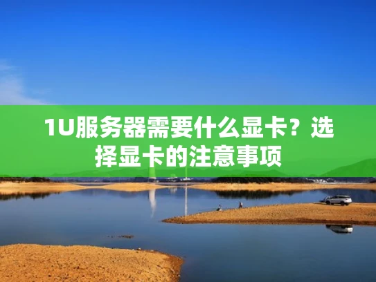 1U服务器需要什么显卡？选择显卡的注意事项
