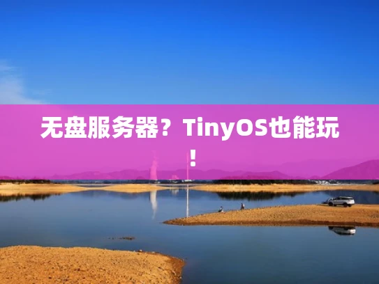 无盘服务器？TinyOS也能玩！