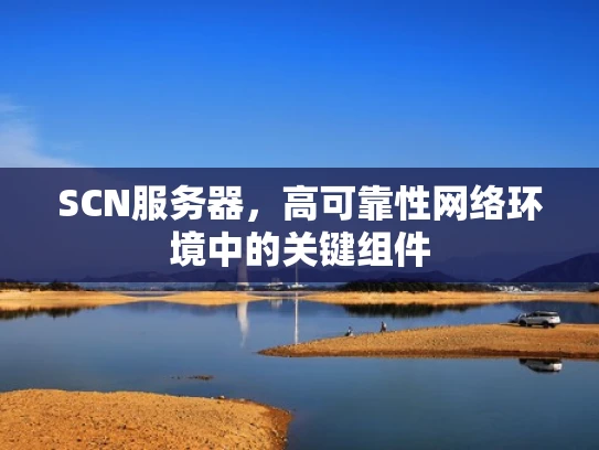 SCN服务器，高可靠性网络环境中的关键组件