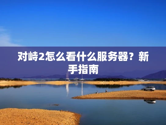 对峙2怎么看什么服务器？新手指南