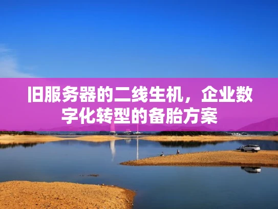 旧服务器的二线生机，企业数字化转型的备胎方案